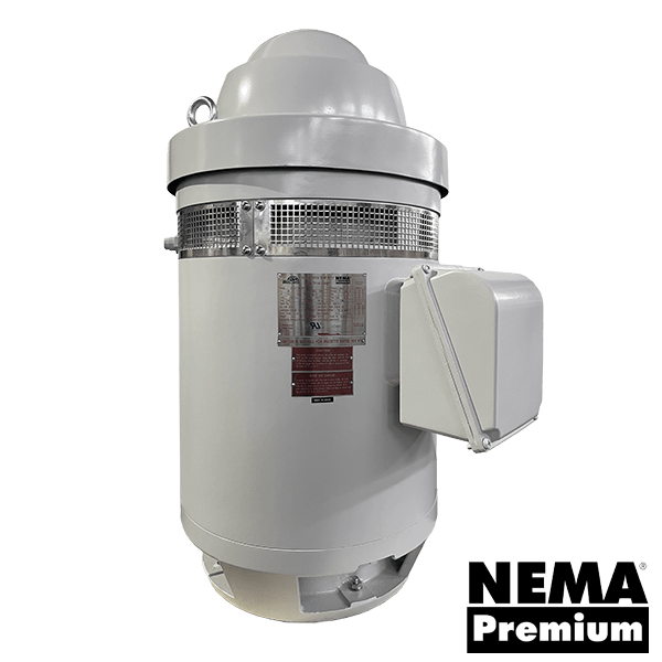 Vertical Hollow Shaft Motor, 60 HP, 1800 RPM, 460V, 364TP Frame, P